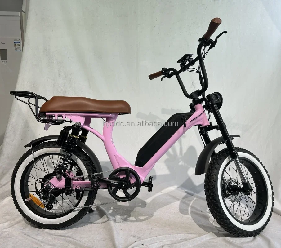 48V 1500W Rear Hub Motor Vintage Electric Bike Retro 20*4.0 Electric Fat Tire Bike Step Through Frame E Bike Make for Adult