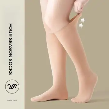 10 最佳銷售 大尺碼絲襪 - №3