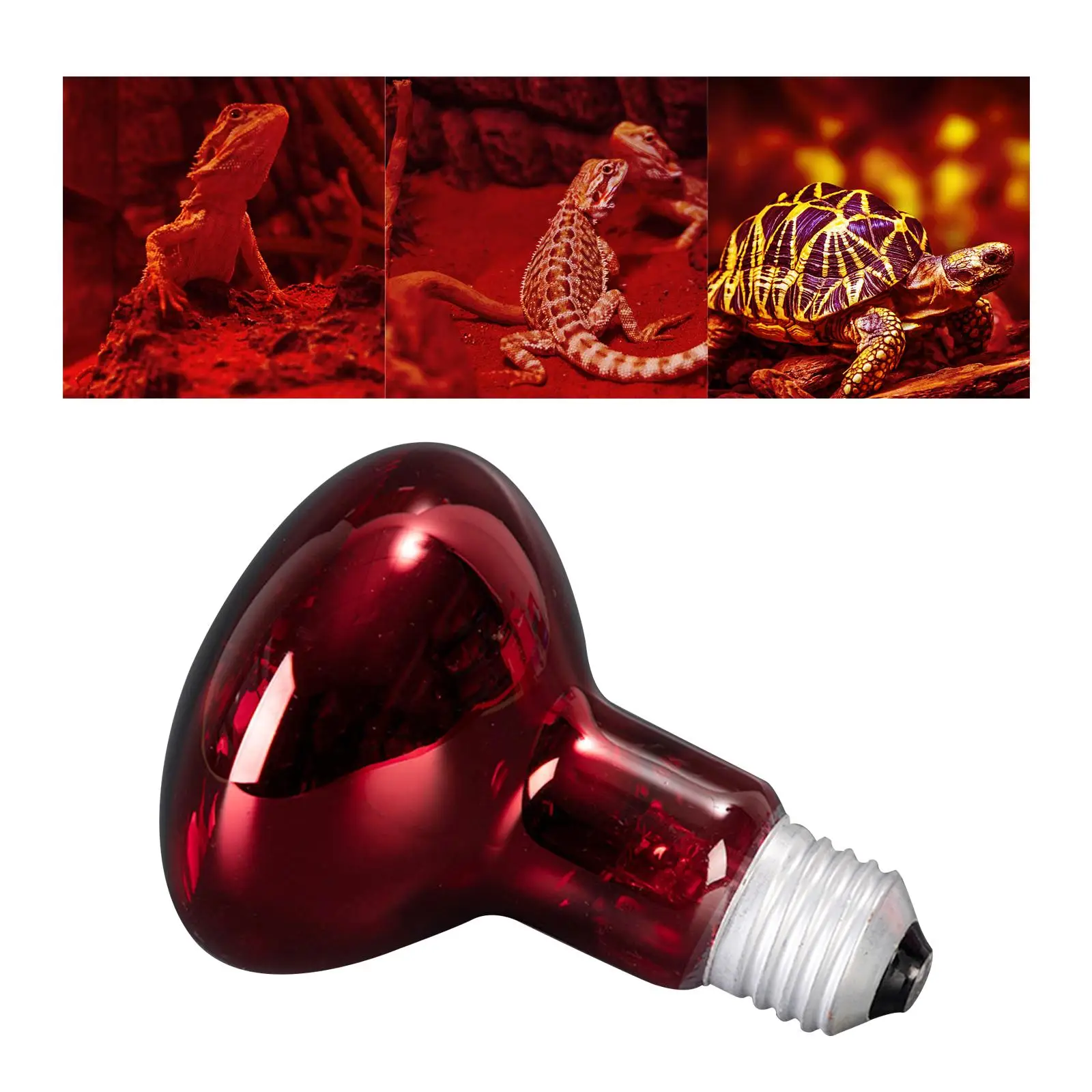 Pet Heat Lights Bulb Heater Source Heater E27 Holder Habitat Reptile Heating Lamp for Tortoise Chameleons Geckos Amphibian images - 6