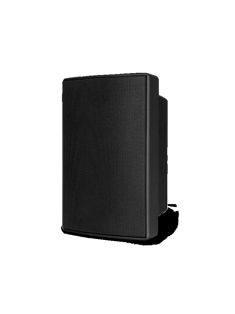 -1030B/W dual frequency all-weather speaker with fixed pressure resistance and waterproof dual-purpose wall mounted