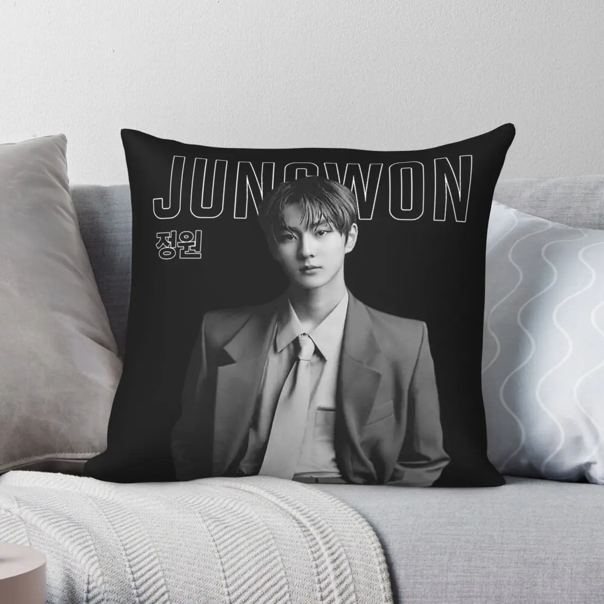 Jungwon Black Edition Pillowcase Polyester Linen Velvet Printed Zip Decor Throw Pillow Case Bed Cushion Cover 45x45
