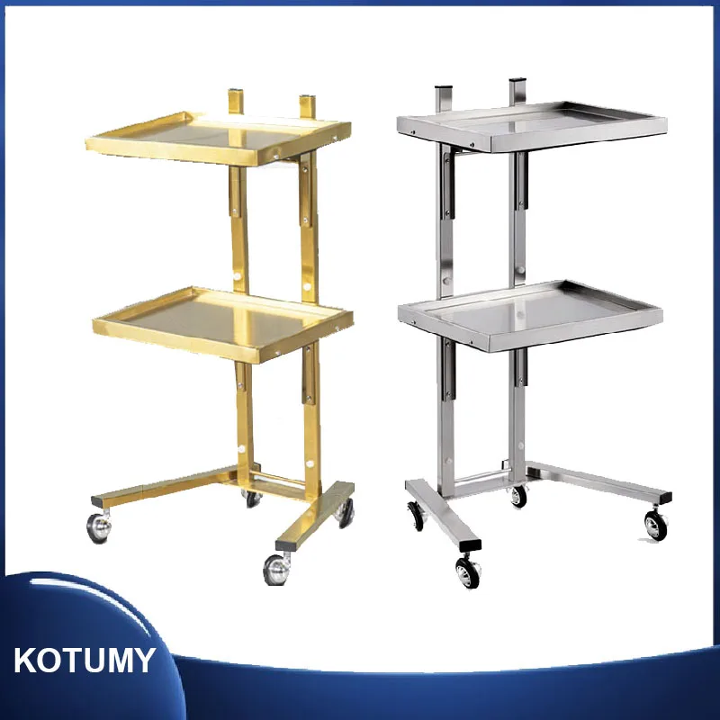 Special Hot Dyeing Car Stainless Steel Beauty Salon Cart Tool Trolley Haircut Folding Tool Cart Hair Salon Cart Two-Layer Rack