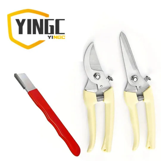 yZ[zvdl̐V[vi[t̃NVbNȃXg[gwbh|pnT~ZbgBVNȔnhƍi̐nAlԍHwɊÂ~߃nhłB|pnT~܂ނׂĂ̐n̓^OXeJ[oChƃ_ChZ~bNłB 