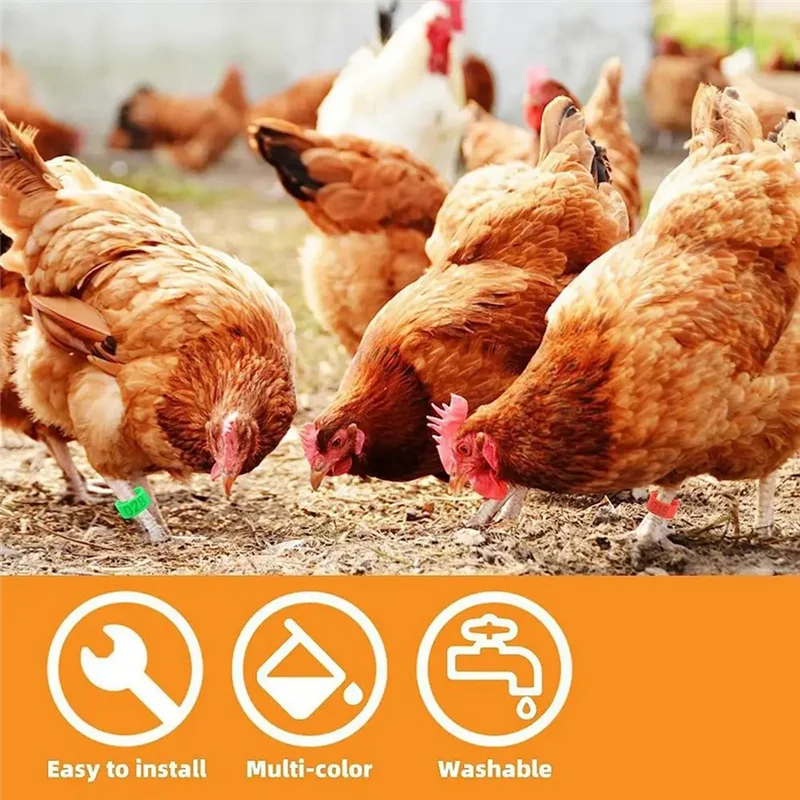 AB33-Chicken Thigh Ring Clip Numbered Leg Band Tags Chickens Ducks Leg Rings Clip Poultry Foot Rings
