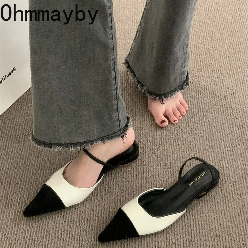 2024 Spring Women Sandals Fashion Pointed Toe Slip On Ladies Casual Low Heel Slides Shoes Women\'s Steet Style Shoes