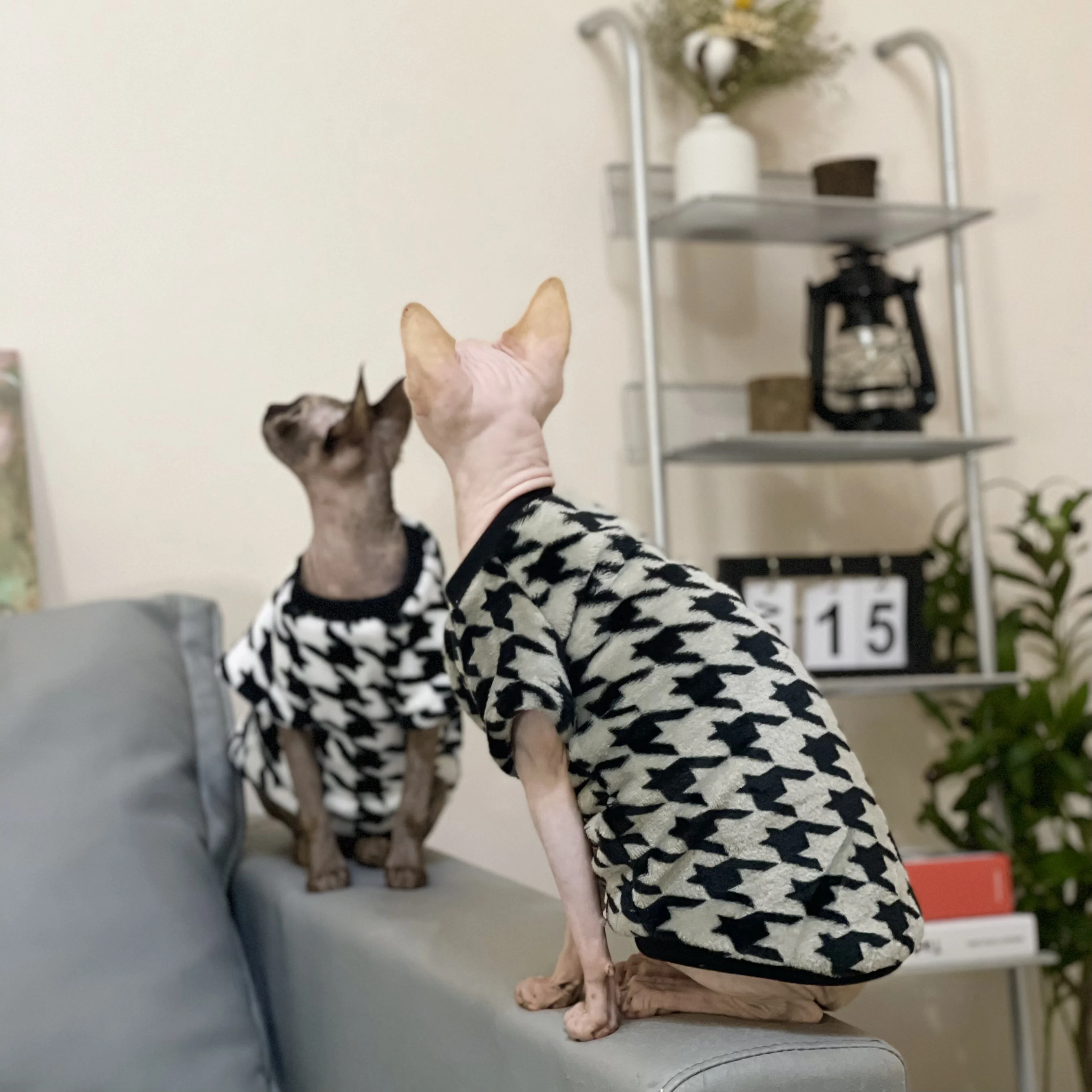 Winter Thick Lattice Fleece Coat for Sphynx Cat Soft Sweatshirt for Male Famale Kittens Warm Loungewear for Devon Rex Clothing