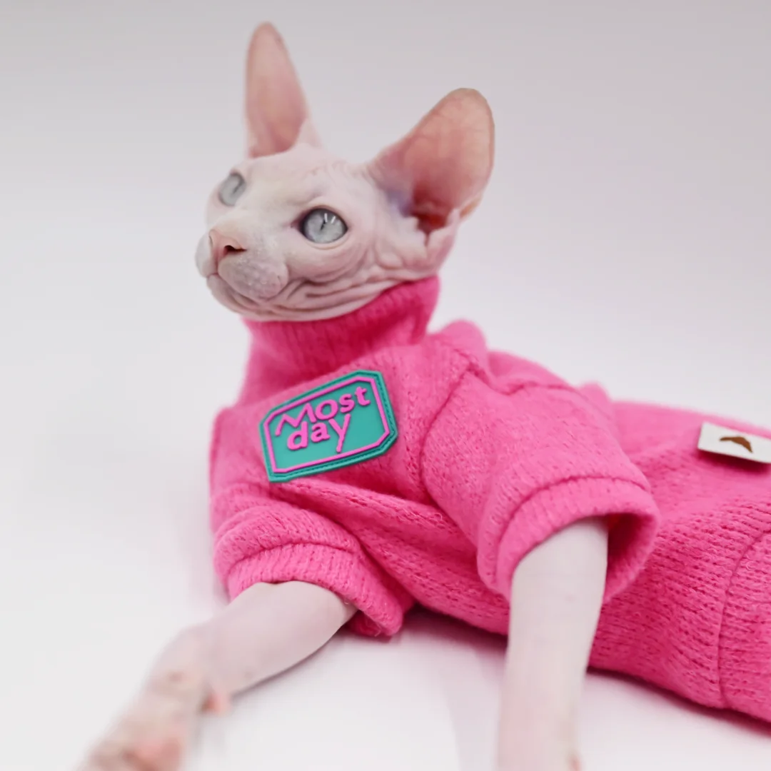 DUOMASUMI Devon Sweater Sphynx Cat Clothes Fashion Kitty Soft and Comfort Winter Hairless Cat Clothes