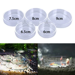 6/6.5/7.5/8/9cm Aquarium Feeding Bowl Fish Tank Feeder Shrimp Tropical Fish Ratfish Glass Feeding Dish Clear Round Tray Access