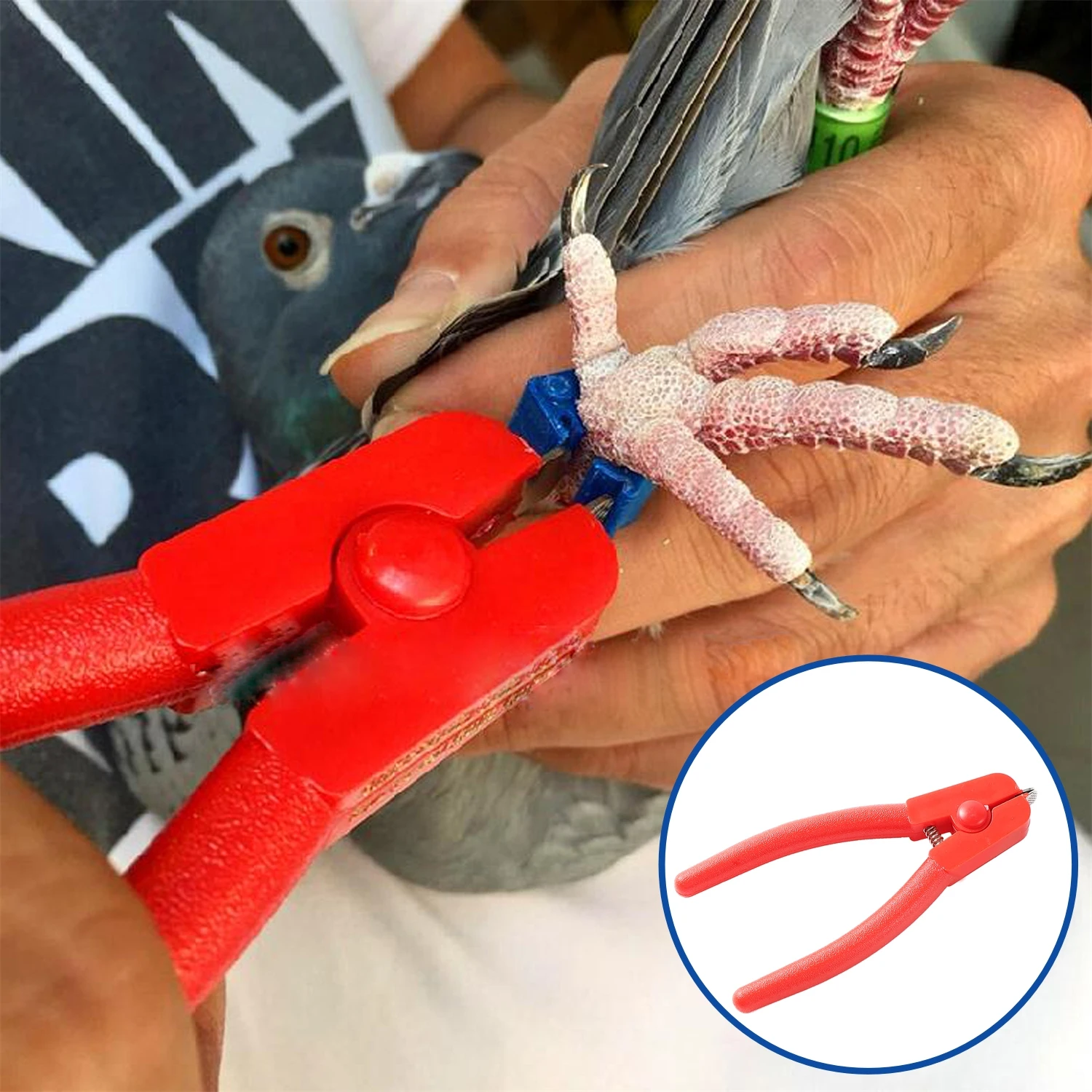 12.5cm multifuncional desmontagem pássaros pé anel ferramenta profissional pombos papagaios eletrônico perna anel abertura alicate vermelho 1pc