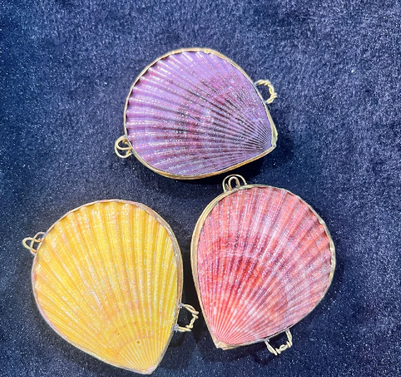Natural Conch Shell Jewelry Box, Pearl Shell, Scallop Shell Crafts