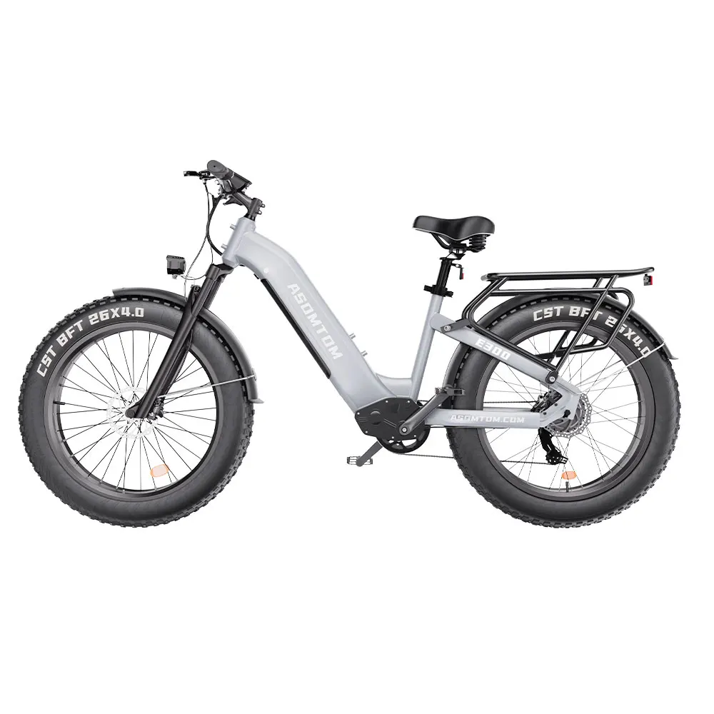 E300 E-BIKE High Speed 48V 750W 26inch 4.0 tyre All Terrain Beach Snow Fat Tire Mountain Dirt Electric Bike for Adult