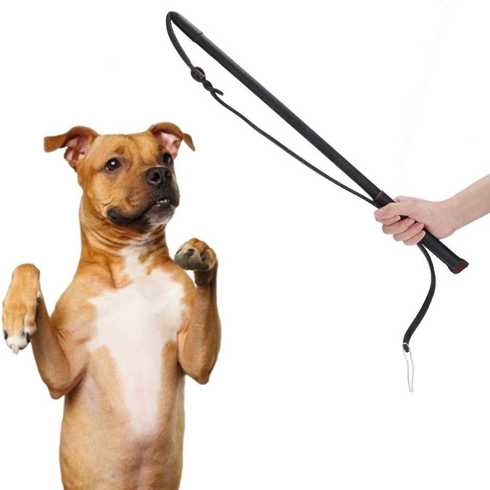 Cowhide Dog Agitation Whip Dog Teaser Wand Dogs Training Whip Outdoor Playing for Pulling Chasing Chewing Teasing Training