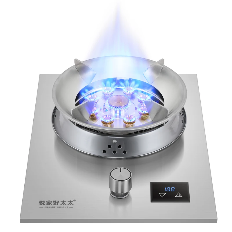 Gas Stove for Home Single Cooker Built-in Energy Saving Natural Gas Liquefied Gas Embedded Tabletop Strong Fire