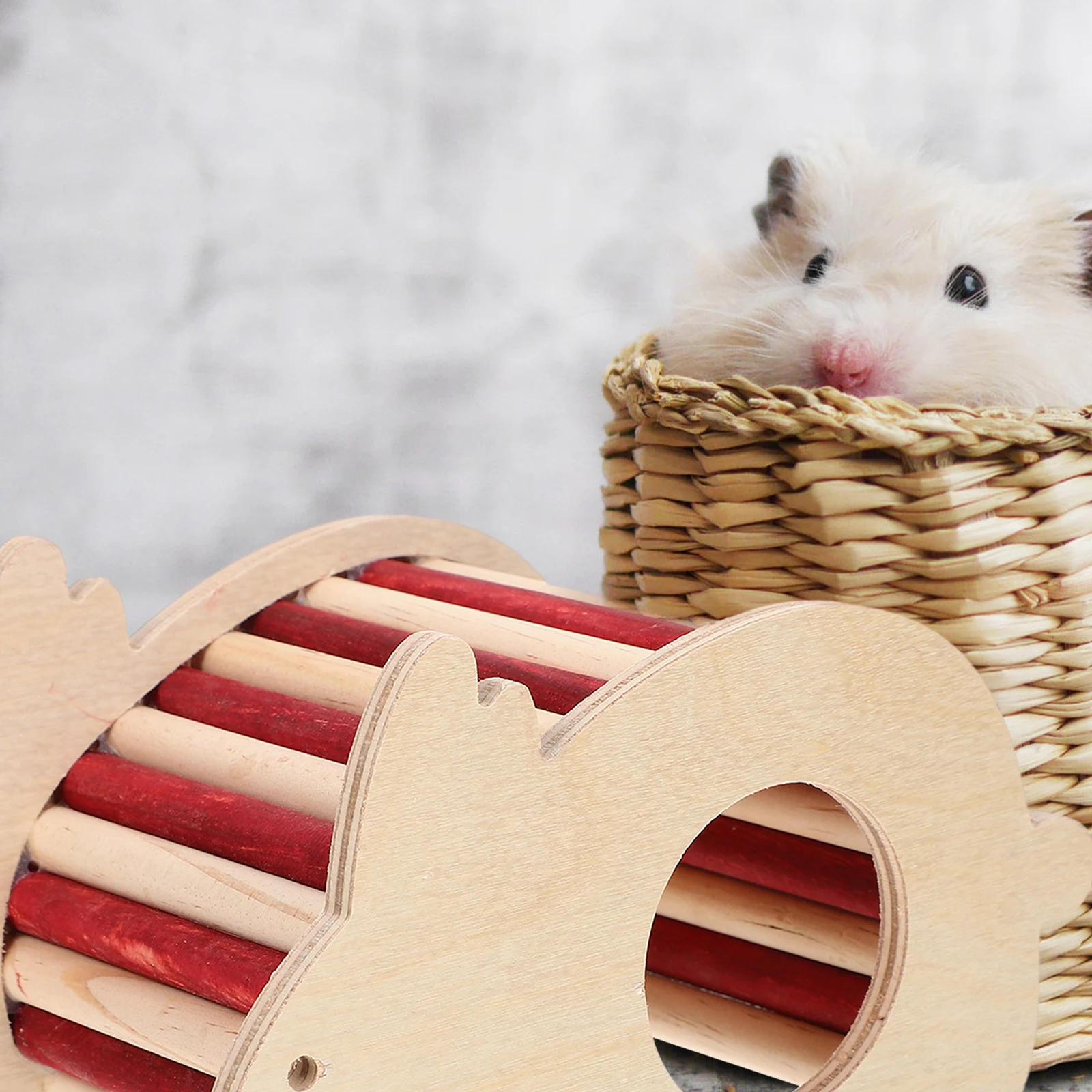 

Hamster Hideout Climbing Ladder for Hamsters House Warm Hideoutt Decor Fun