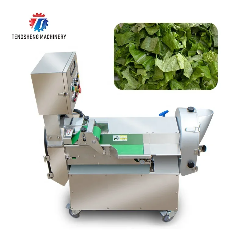 High Quality Commercial Vegetable Cutting Machine Capacity 300KG/HR