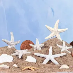 Simulation Starfish Design Mediterranean Style Fish Ornament Decoration Decoration Eco-friendly Home W3x2