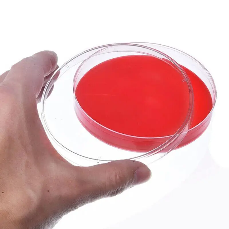 50Pcs Plastic Sterile Petri Dishes Bacteria Culture Dish with Lids 90x15mm for Laboratory Biological Scientific School Supplies