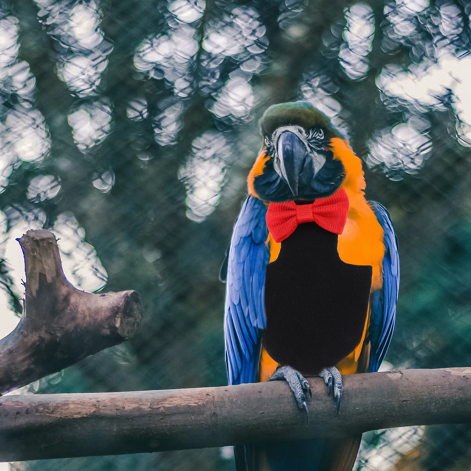 

Parrot Diaper Bird Diapers For Pet Birds Leakproof Waterproof Absorbent For Cockatiel Parakeet Pigeon Bird Pant Pet Flying Suit