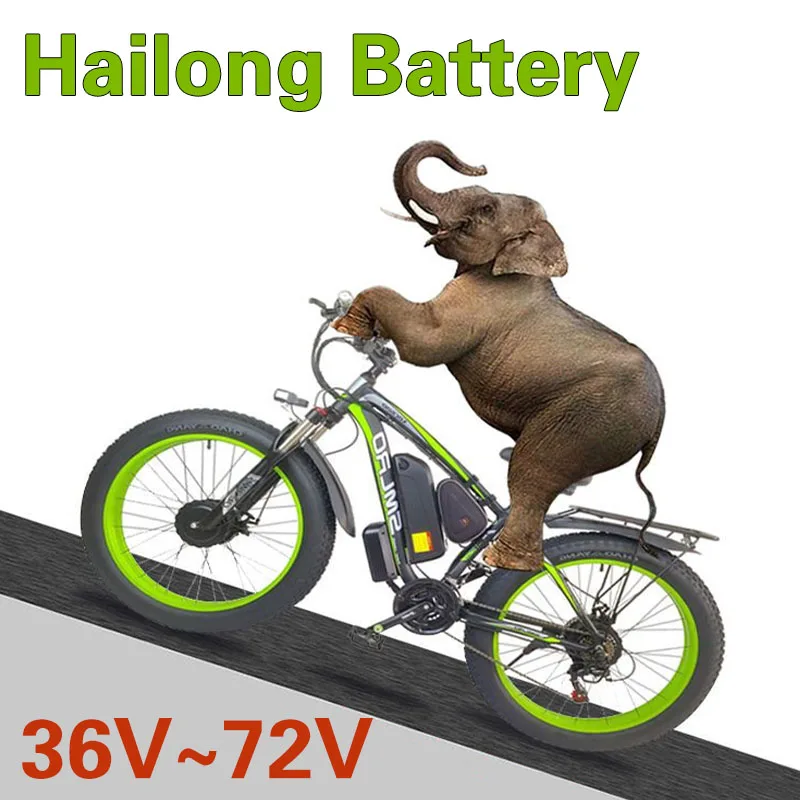 

Hailong LithiumBattery Electric Scooter Battery 36V 48V 52V 72v 20Ah-30Ah for 250W~1000W Motorcycle/bicycle Waterproof
