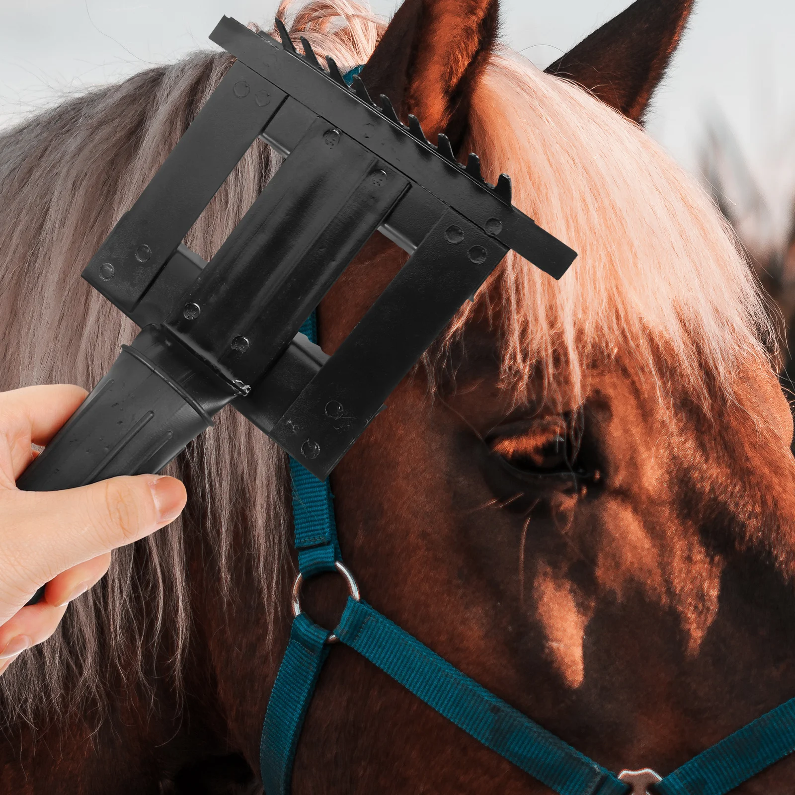 فرشاة تنظيف مشط للعناية بالحيوانات الأليفة، مقبض مريح غير قابل للانزلاق لإزالة الشعر، خفيف الوزن ومتين، أداة تهذيب الحصان #2