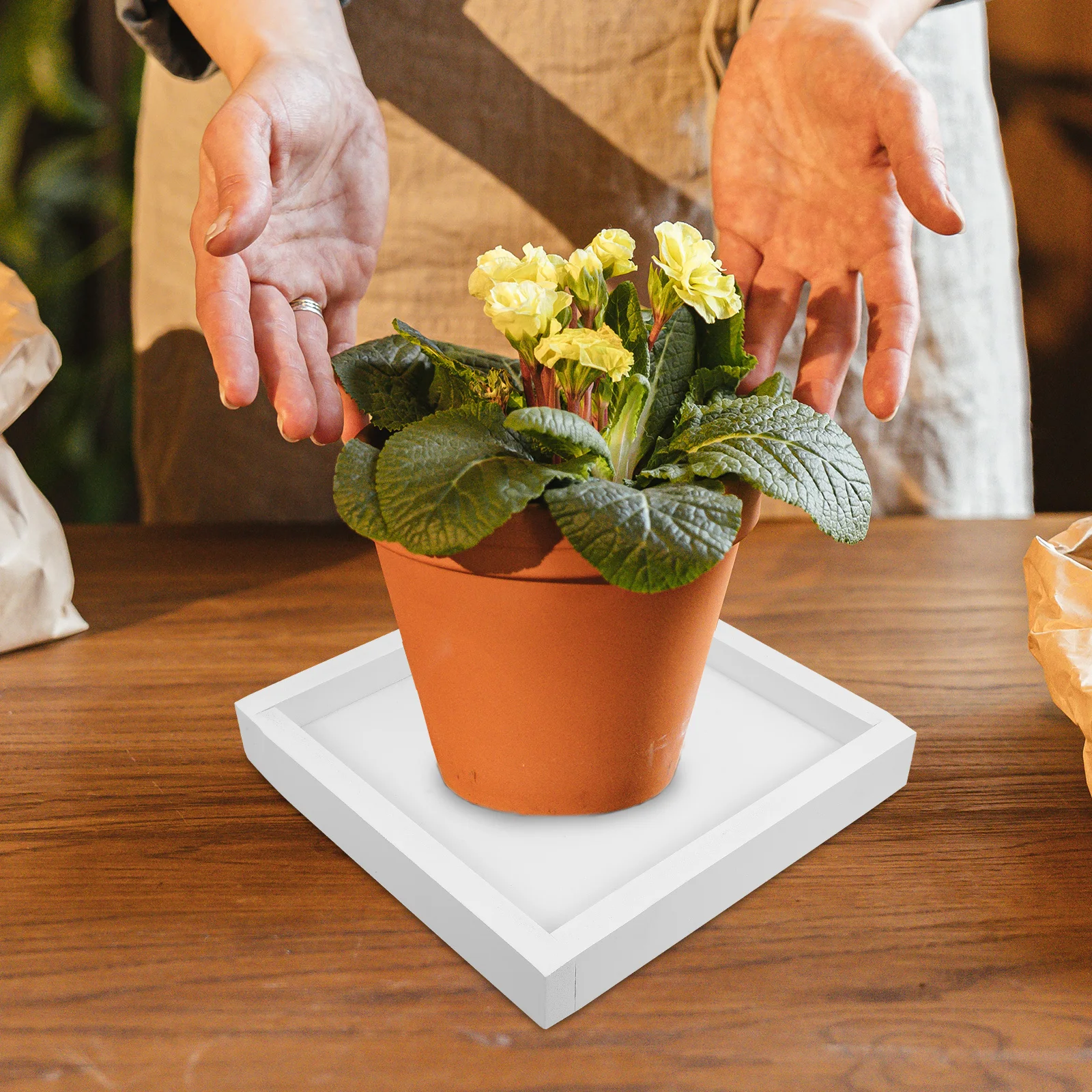 

20x20cm Square Flowerpot Tray Thicken Plastic Potted Plate Leakproof Base for Home Indoor Balcony Garden Use White