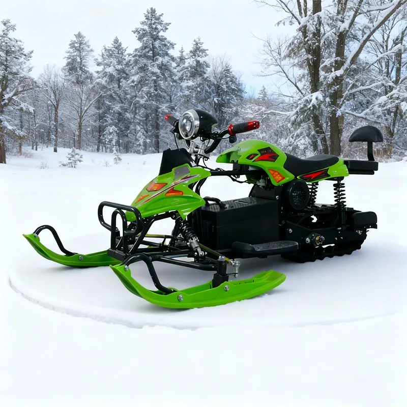48V 800W Electric Snowmobile 2-Seater with Backrest Tracked Snow Bike Battery Powered Winter Ski Sled Snow Scooter for Adults