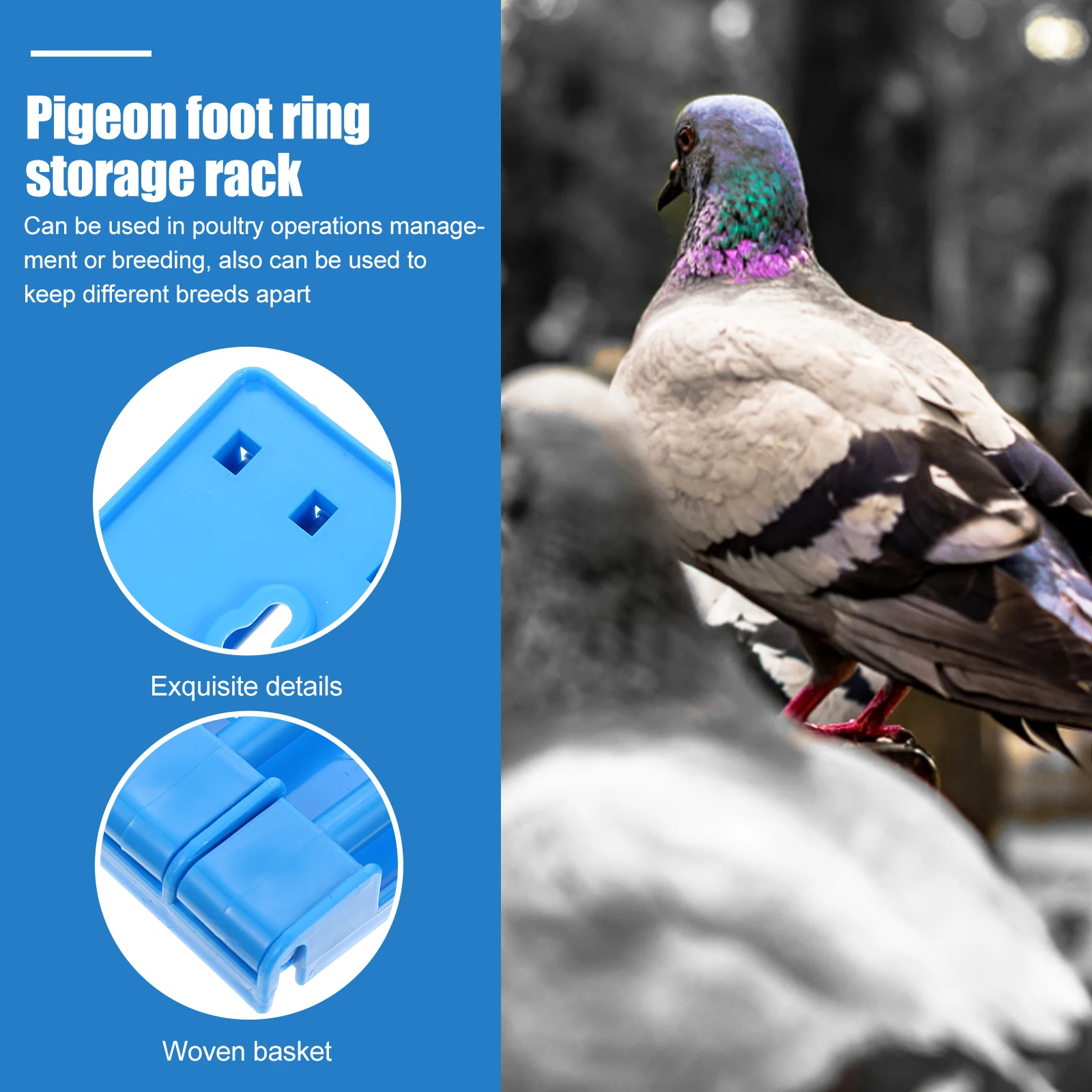 

2pcs Pigeon Ring Racks Durable Plastic Multi-Hole Foot Ring Organizer For Poultry Breeding Management Chicken Band Racks Pigeon