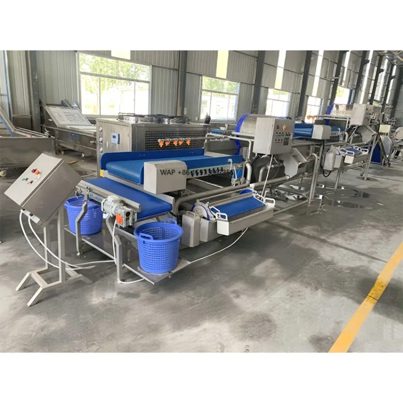 Fully Automatic Vegetable and Fruit Sorting Cutting Washing Drying and Rapid Processing Line