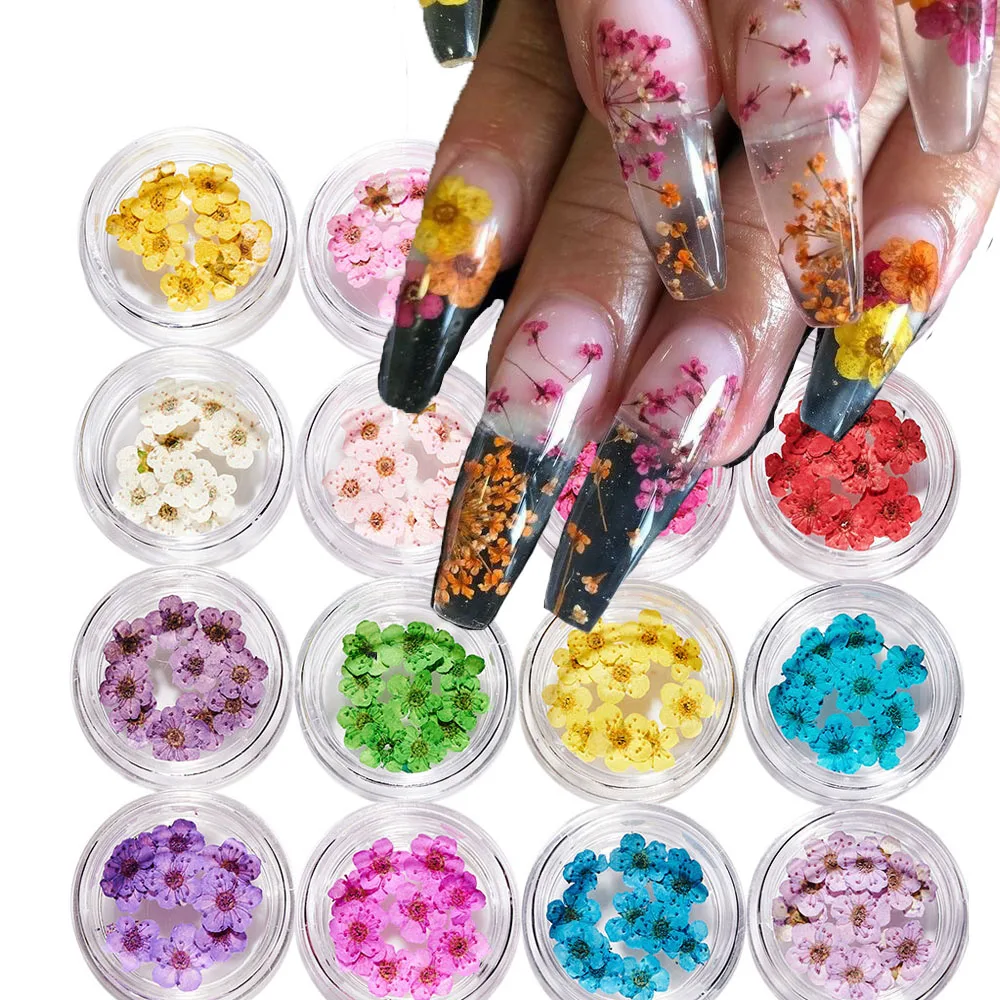 

10Pcs/box DIY Real Dried Flowers for UV Gel Acrylic Nail Art Tips Floral Stickers DIY Nail Manicure Charms Accessories B-105