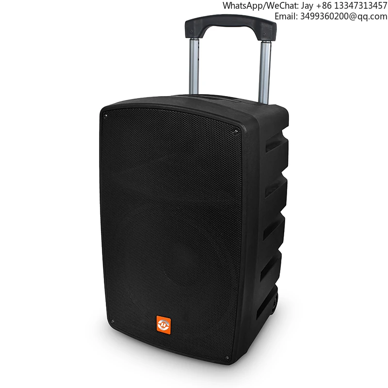 

Big Power Super Bass 15 Inch Plastic Trolley Speaker Blue Tooth Speaker Karaoke SpeakerTop-selling In 2026