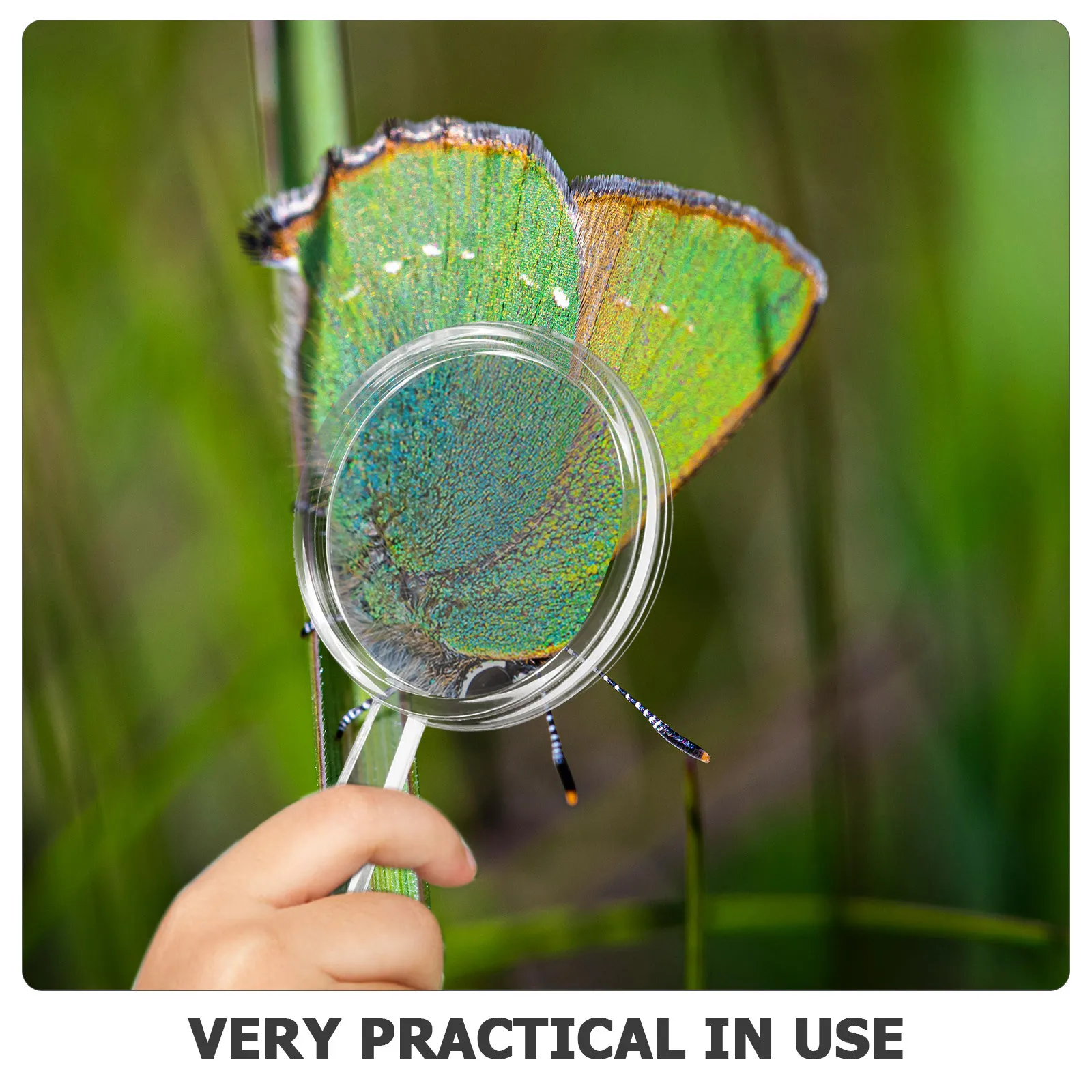 Lente d'ingrandimento per bambini portatile da 20 pezzi Esplora lente d'ingrandimento Strumento di lettura per osservazione biologica portatile Scienza Esplora fornitura