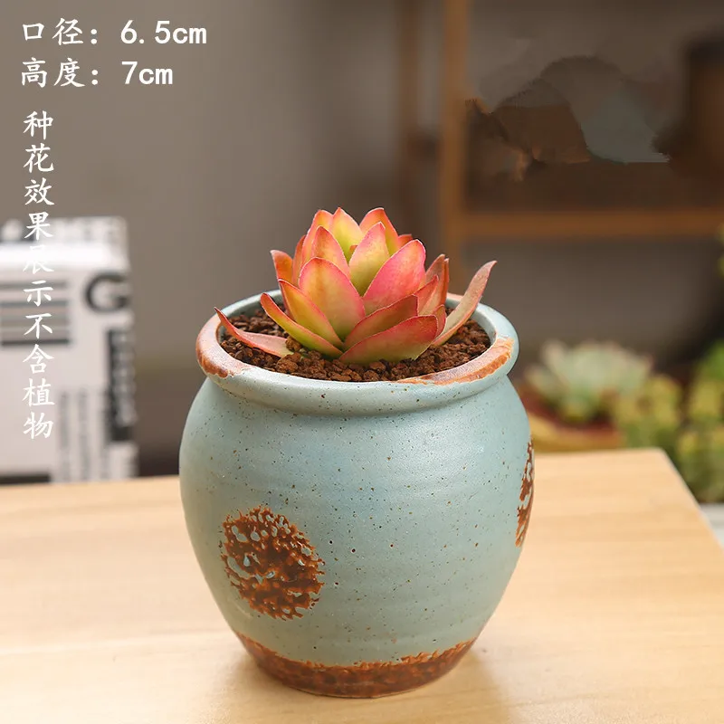 Succulent Flower Pot Ceramic Gardening Ceramic Mini New Product Creative Crude Pottery Retro Home New Porcelain Pot Basin