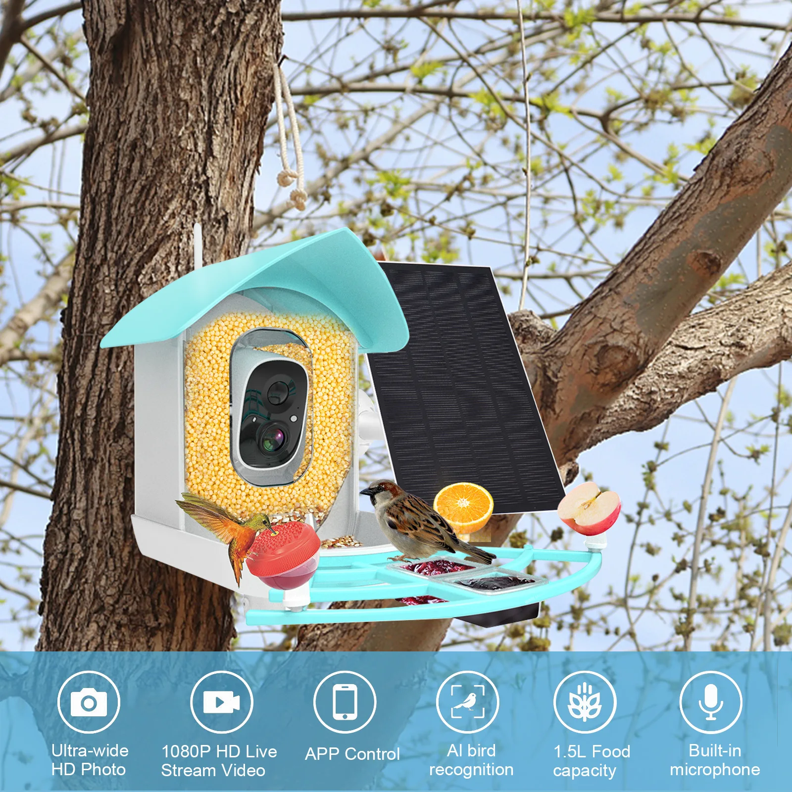 Smart Bird Feeder with Camera High Resolution PIR Motion Detection AI Intelligent Recognition Birds Species Solar Powered