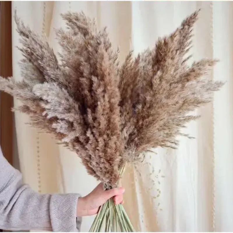 Boho Home Dried Pampas Grass Decor Natural Fluffy Pompas Grass for Room Kitchen Farm Wedding Christmas Room Party Decor Plants