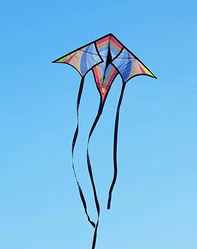 Palas voladoras gigantes para juegos al aire libre, cometas voladoras coloridas, escudo para windsurf, cometa divertida al aire libre, paracaídas de Águila