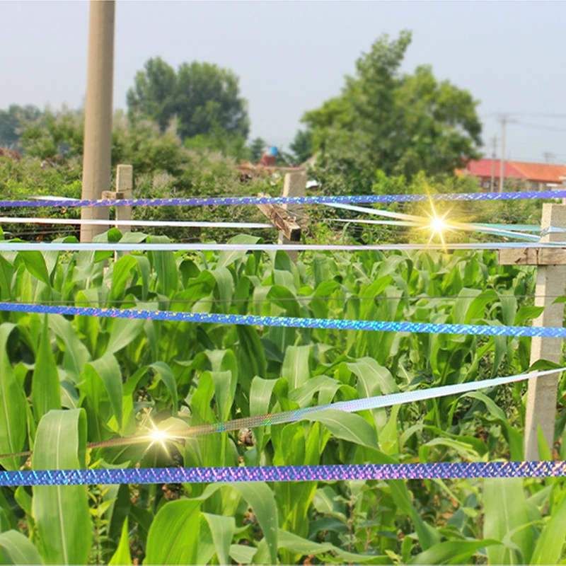 2.4 سنتيمتر x 50 متر/4.8 سنتيمتر x 50 متر الليزر عاكس الطيور طارد الشريط على الوجهين عاكس الردع تخويف الشريط للطيور حديقة مزرعة الخ