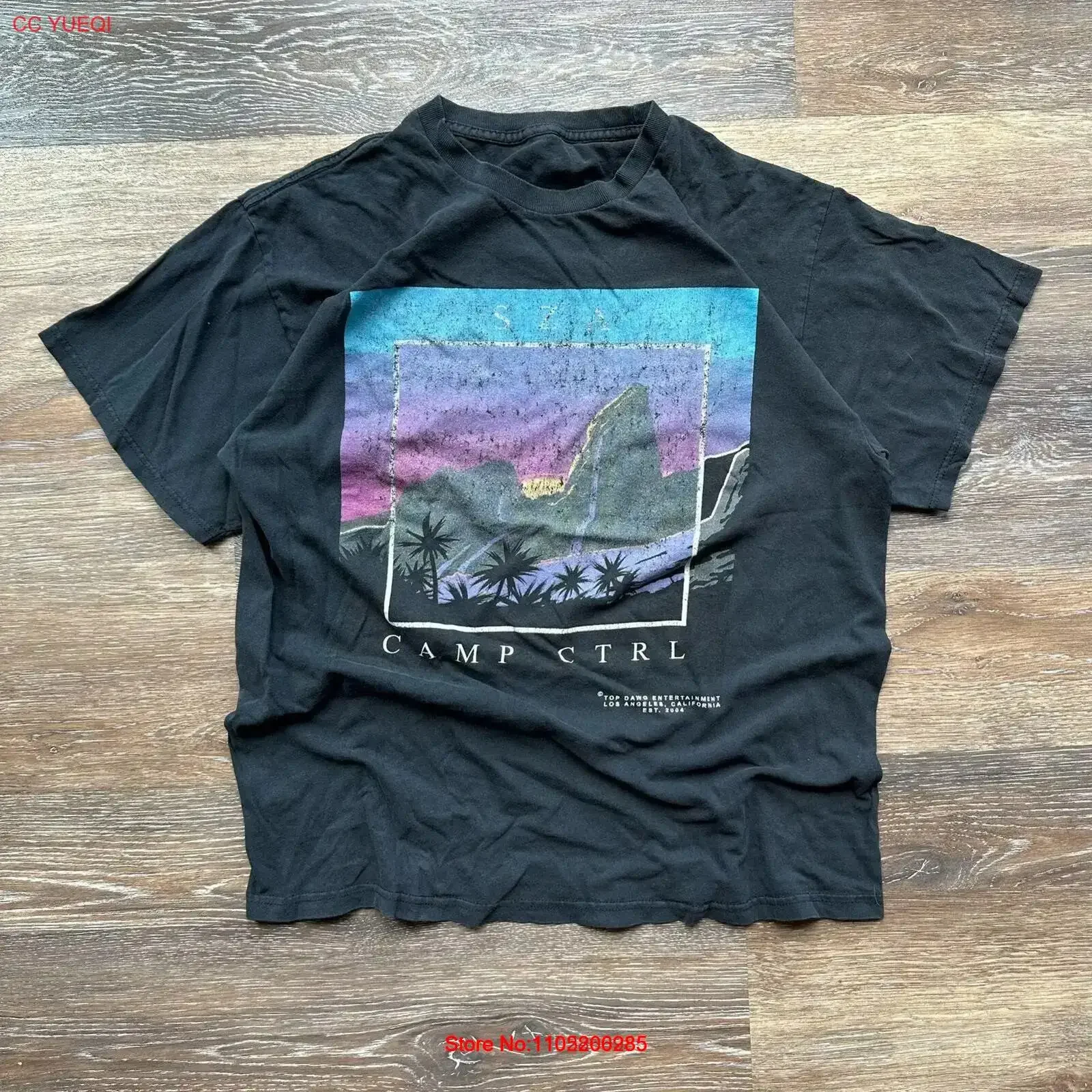 Black Top Dawg Entertainment Camp Ctrl SZA T Shirt band concert vintage Washed Versatile Casual Comfortable