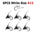 6 piezas blancas talla 12