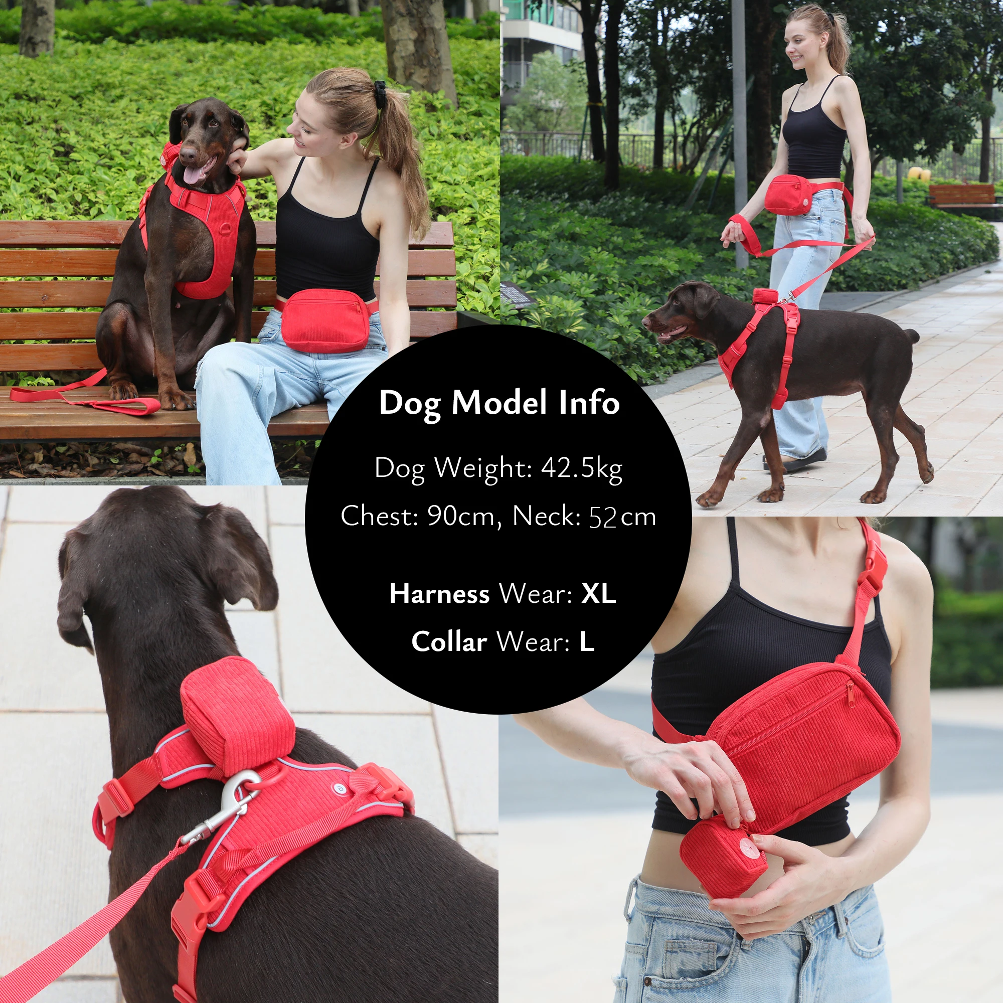 Luxury Designer Collars for Dogs Personalized Fully Adjustable Fashion Dog Harness Set with Lead Poop Bag Storage Shoulder Bag