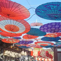 Gufeng Japanese Oilpaper Shade Umbrella Restaurant Ceiling Classical Ukiyoshi Decorative Umbrella Sakura Umbrella Parasol