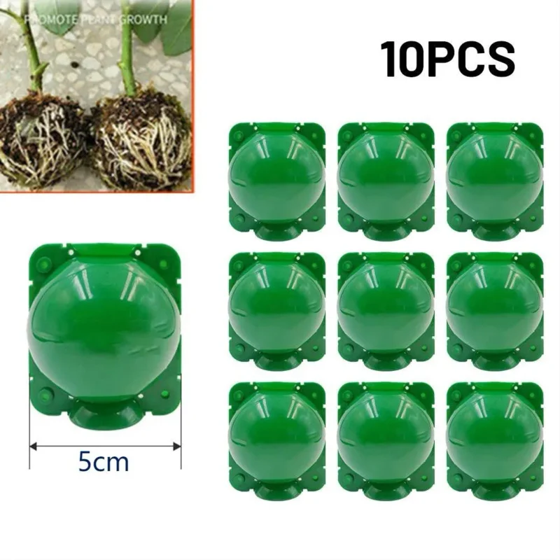 10pcs Grafted Rooting Ball Rooter Tree High Altitude Pressure Branch Plant Propagation Ball Plant Hydroponics Propagation Box