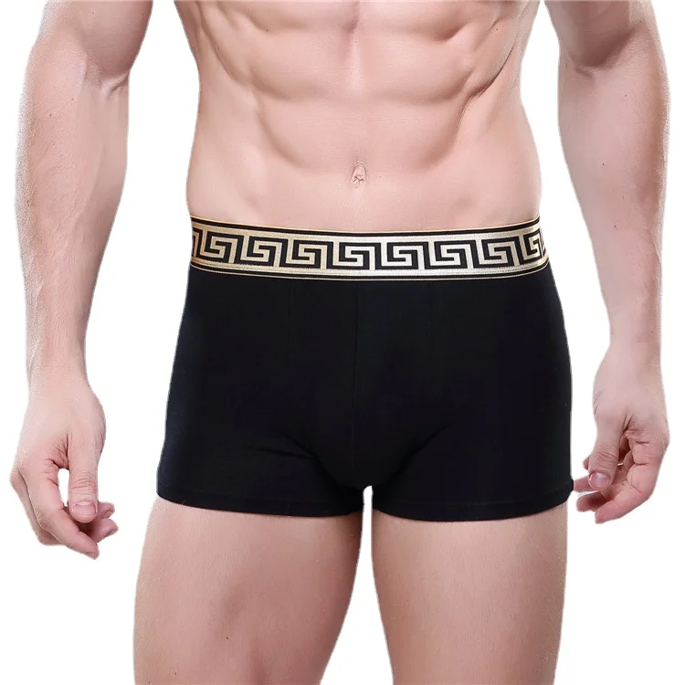 Retail Men\'s Cotton Underwear New Pure Cotton Fabric Trendy Boxers Boxer Shorts High-End Hot Men Underwear Sexy