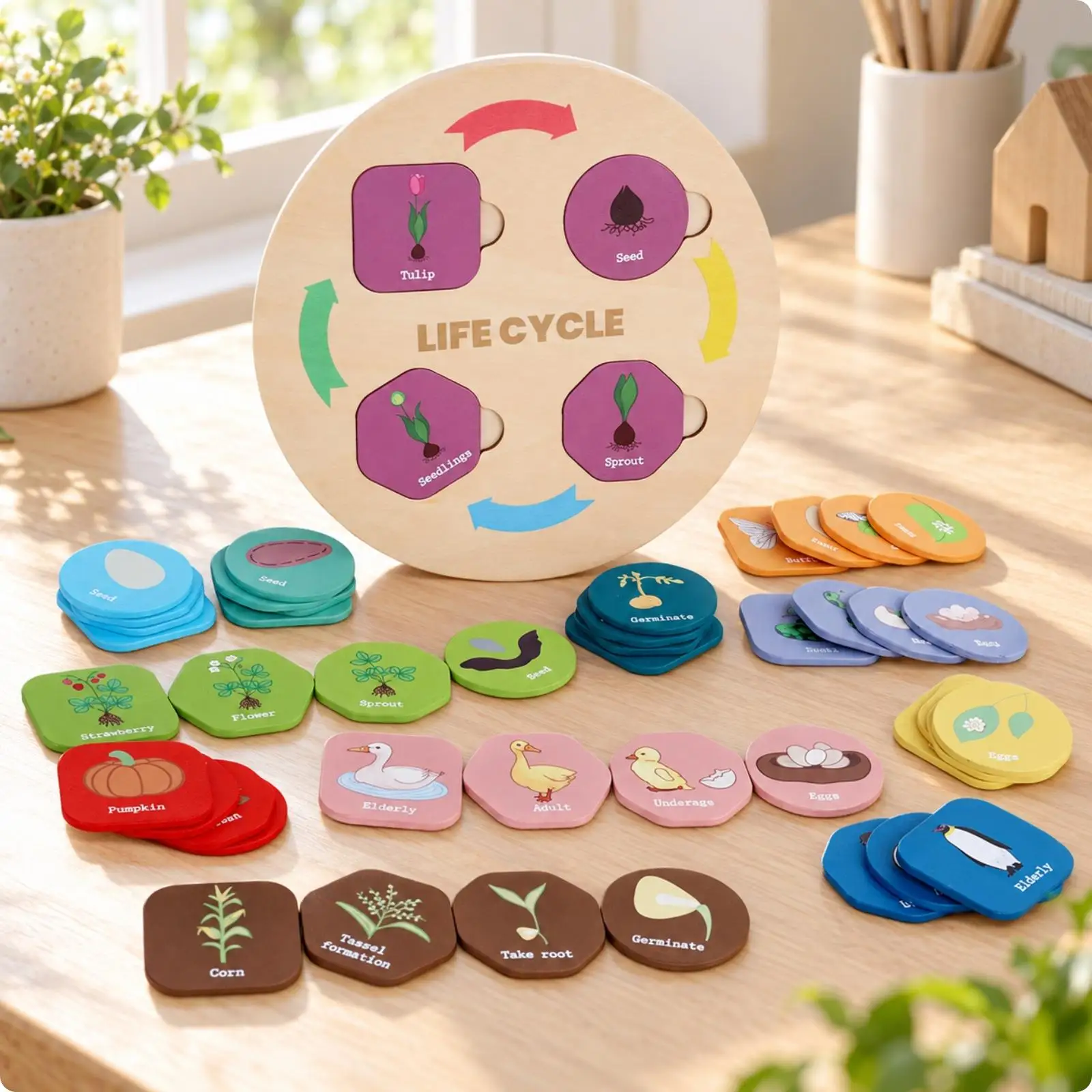 Wooden Kids Shape Puzzle Growth Cycle Board Educational Toy for Children Learning Game