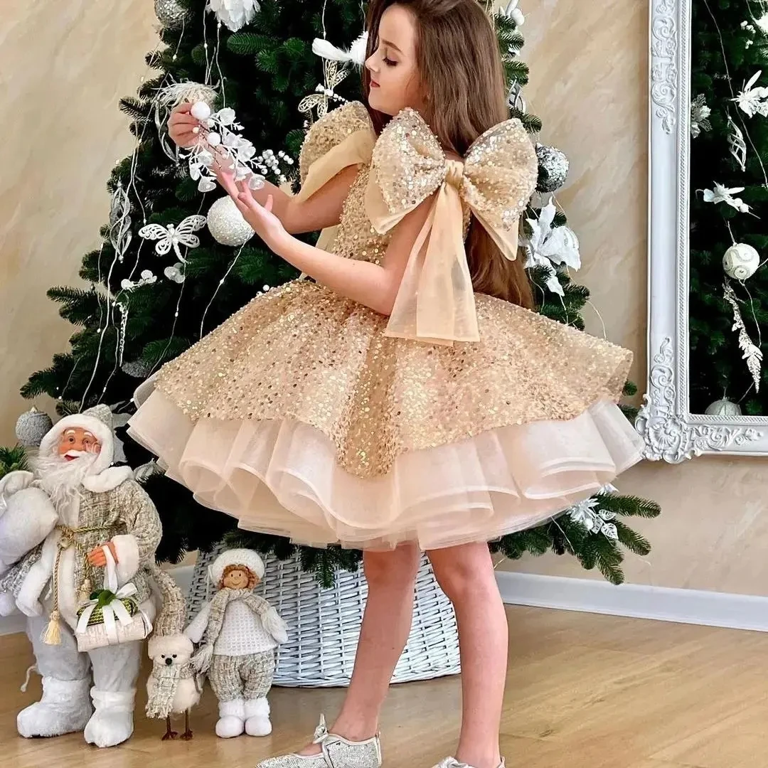 

Luxury Champagne Flower Girls Dresses Fluffy Communion Dresses Girls Soft Tulle Christmas Gowns 2024 Tutu فلور فتاة اللباس