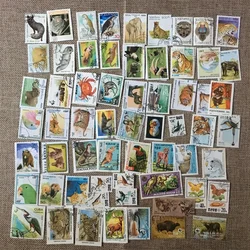 50Pcs/Set Wild Animals All Different From Many Countries NO Repeat with  Postmark Postage Stamps for Collecting