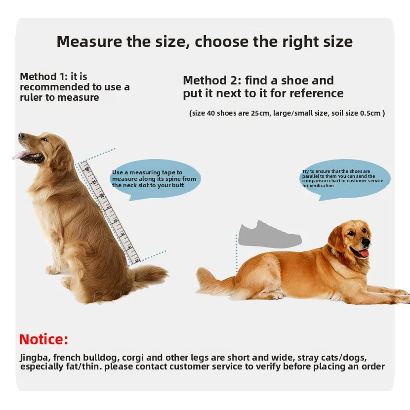 Thumbnail 4 - #28 Ranked Pet Agility Equipment Picks in 2026