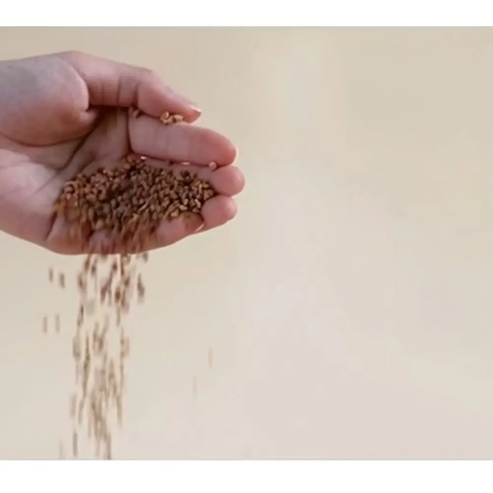 Walnut Granules For Hamster Rutin Chicken Habitat Bedding Odor Neutralizer Moisture Absorbent Pet Cage Liner Mat