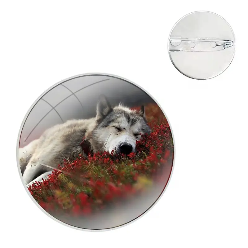 Glass Dome Brooches Badge Pins For Clothes Hat Shirt Lapel Bag The Sirius Wolf