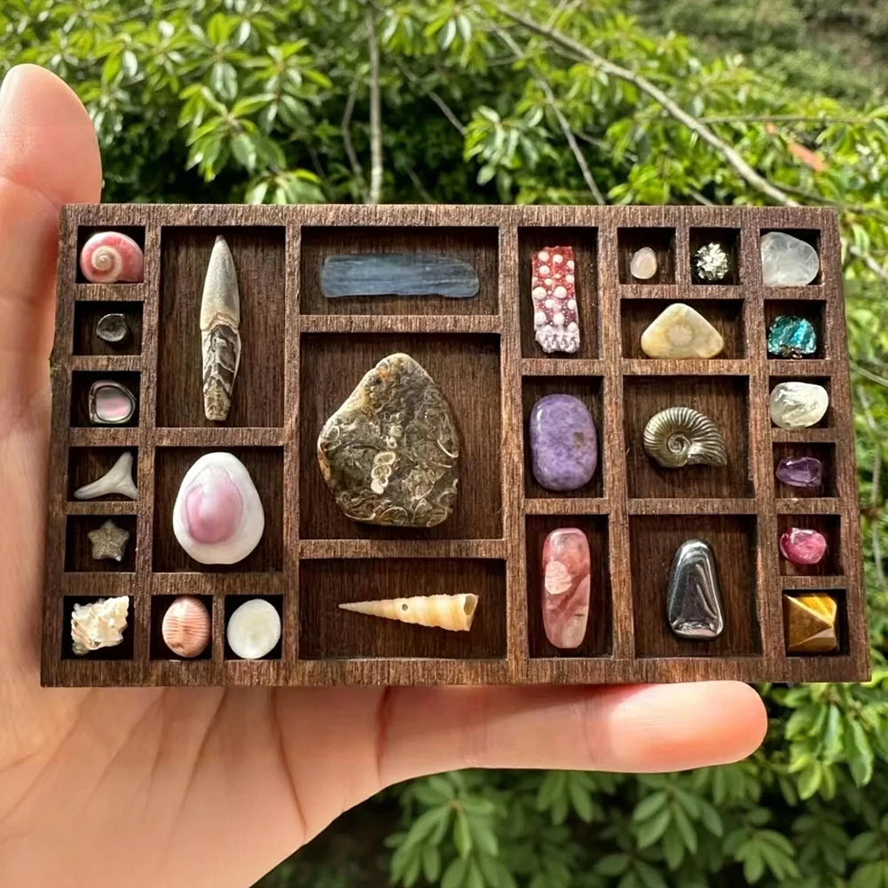 Wooden Luxury Miniature Trinket Jewelry Display Storage Box Ore-Specimen Storage Display Tray For Collectors Of Micro-Trinkets