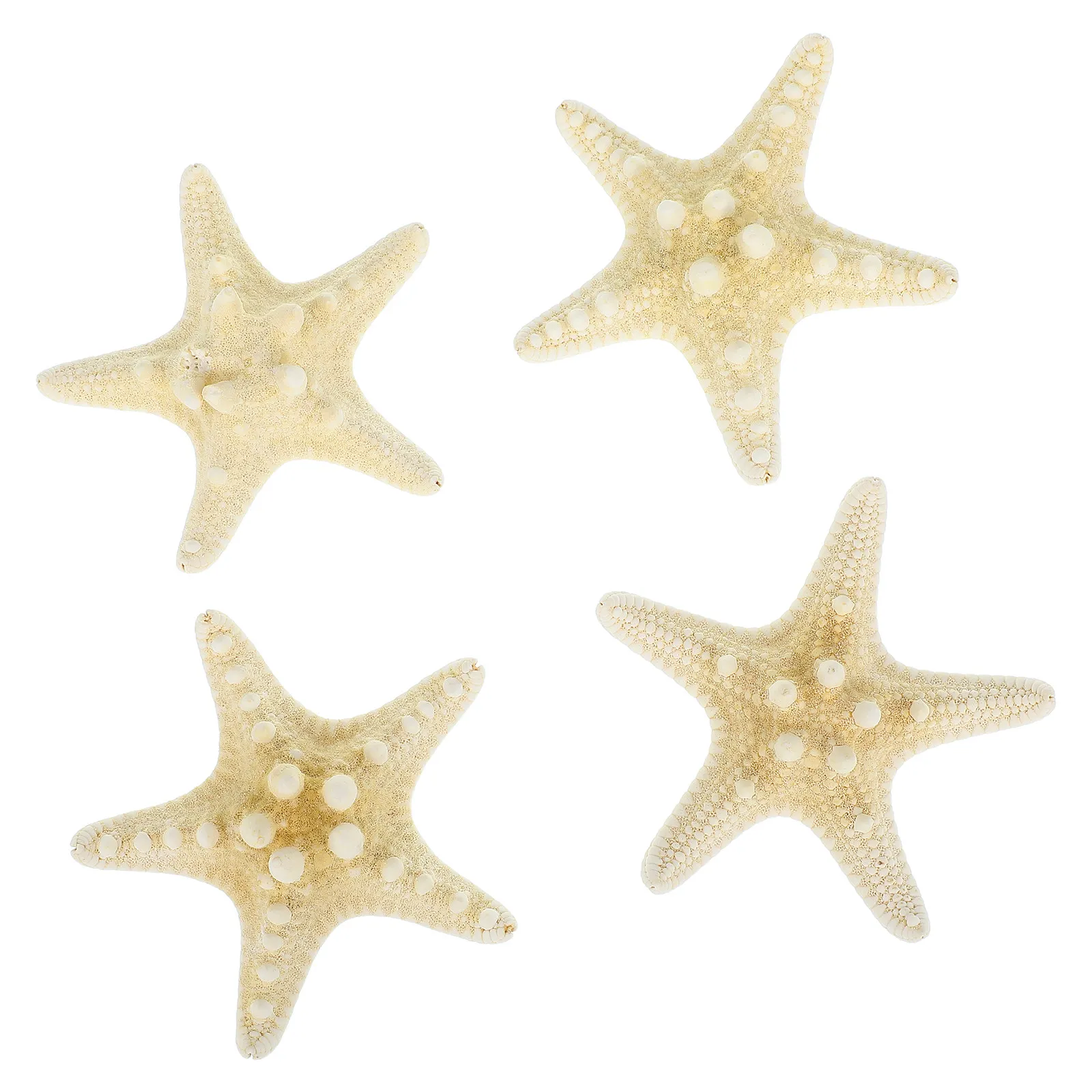 4pcs Starfish Decor Natural Garden Office Wall Wedding Decoration Seashell Specimen Non Water Placement
